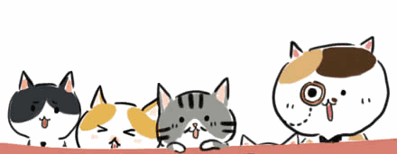 本期《黄金时间》为你全方位解答！