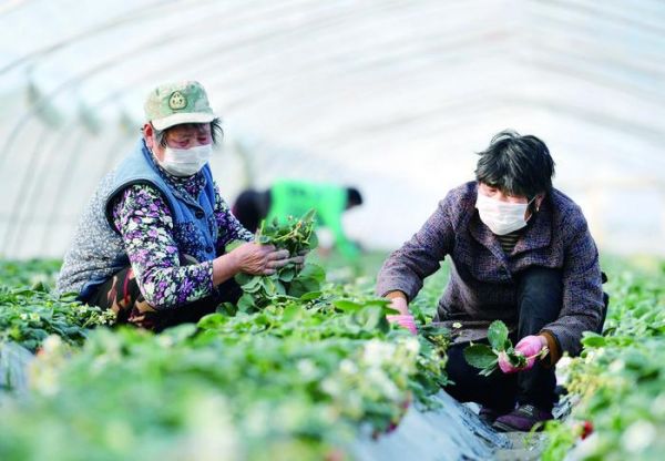 微信图片_20200417092829