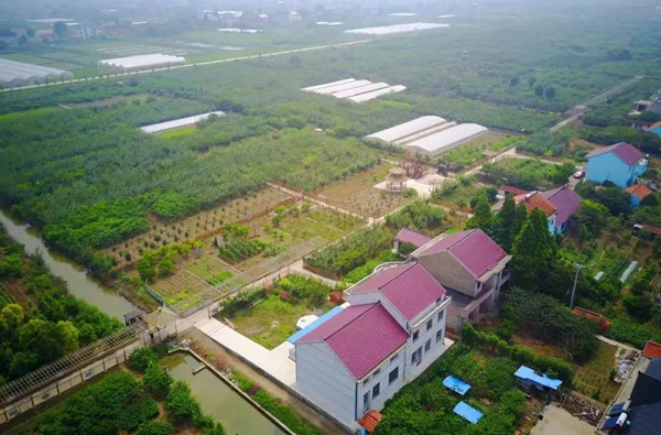 江苏启东：乡贤“后援团”助阵吹响招商引资“集结号”
