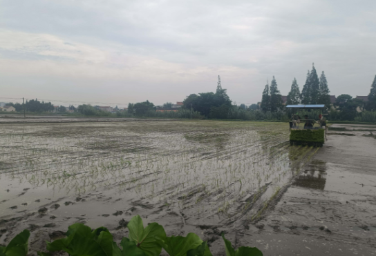 1689920400273.png 1689920400273.png